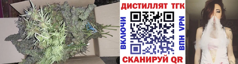 где найти   Бабушкин  Дистиллят ТГК концентрат 